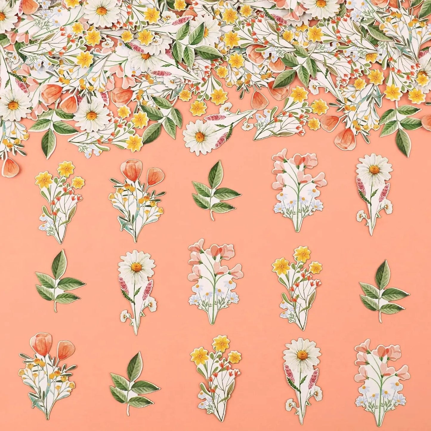 Floral Fantasy: Wildflower Wonders - Confetti